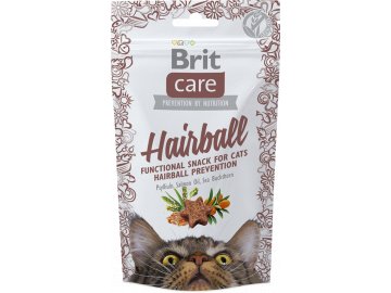 Brit snack hairball