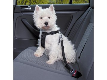 Bezpečnostní postroj do auta pro psa S