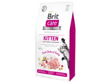 brit kitten