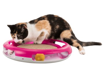 Kruhová dráha s míčkem a kartonem