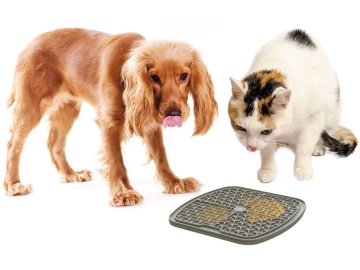 Lízací podložka Georplast