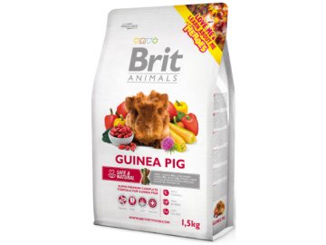 Brit guinea pig