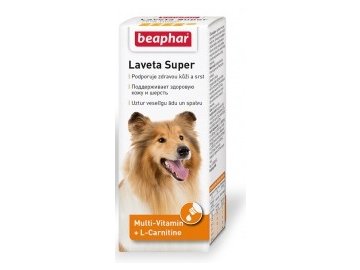 laveta dog