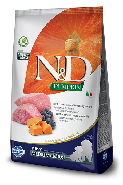 N&D GF Pumpkin Puppy Lamb Blueberry 2,5 kg