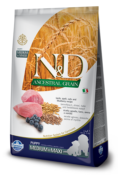 N&D Ancestral Grain Dog Puppy Lamb Blueberry 12 kg