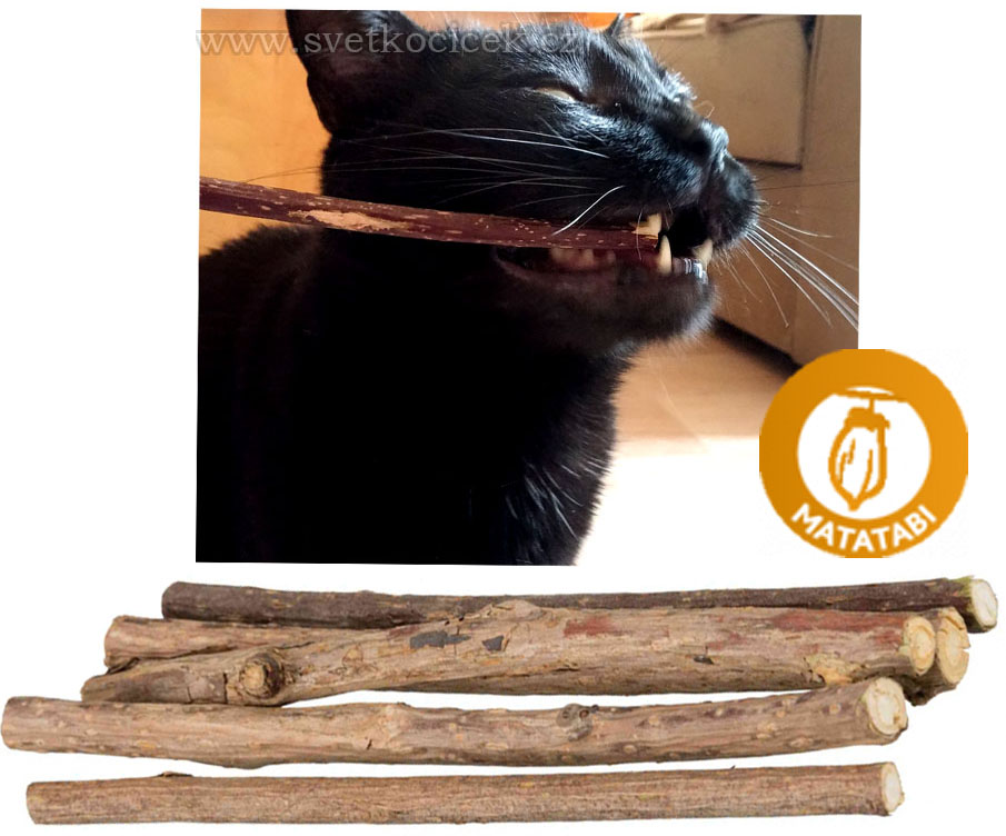 Matatabi kousací tyčinky pro kočky 10 g