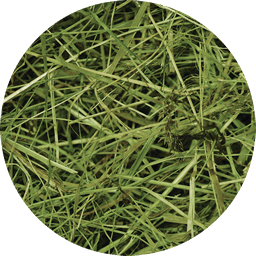 Rabbit Weed seno luční 600 g