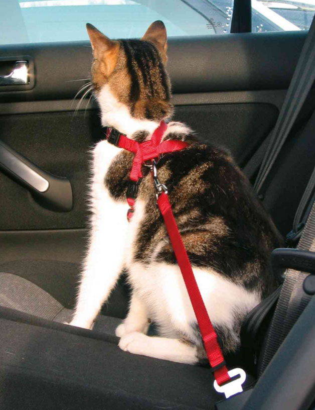 Trixie Bezpečnostní postroj do auta pro kočku 20-50cm