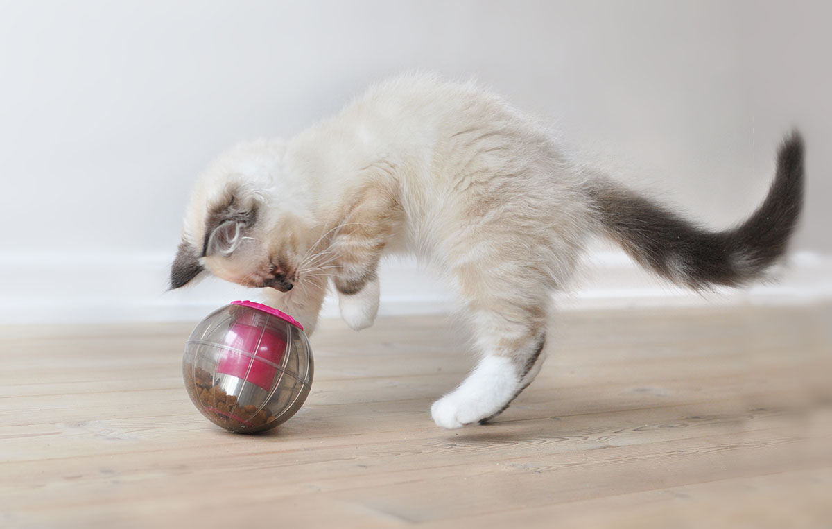 Míč na pamlsky pro kočky Kruuse růžový 9,5 cm + pamlsky ZDARMA