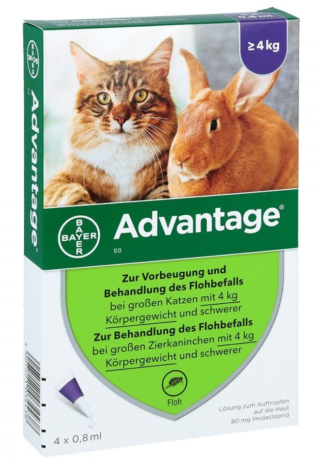 Advantage 80 proti blechám pro kočky a králíky nad 4 kg - pipeta 0,8 ml