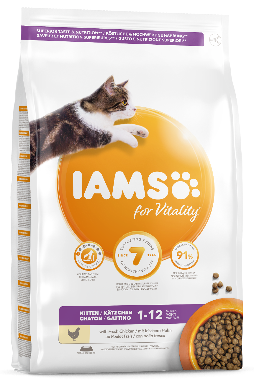 IAMS Cat Kitten Chicken 10 kg