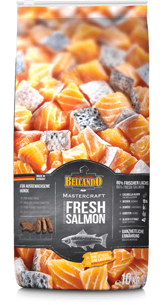 Belcando Mastercraft Fresh Salmon 6,2 kg