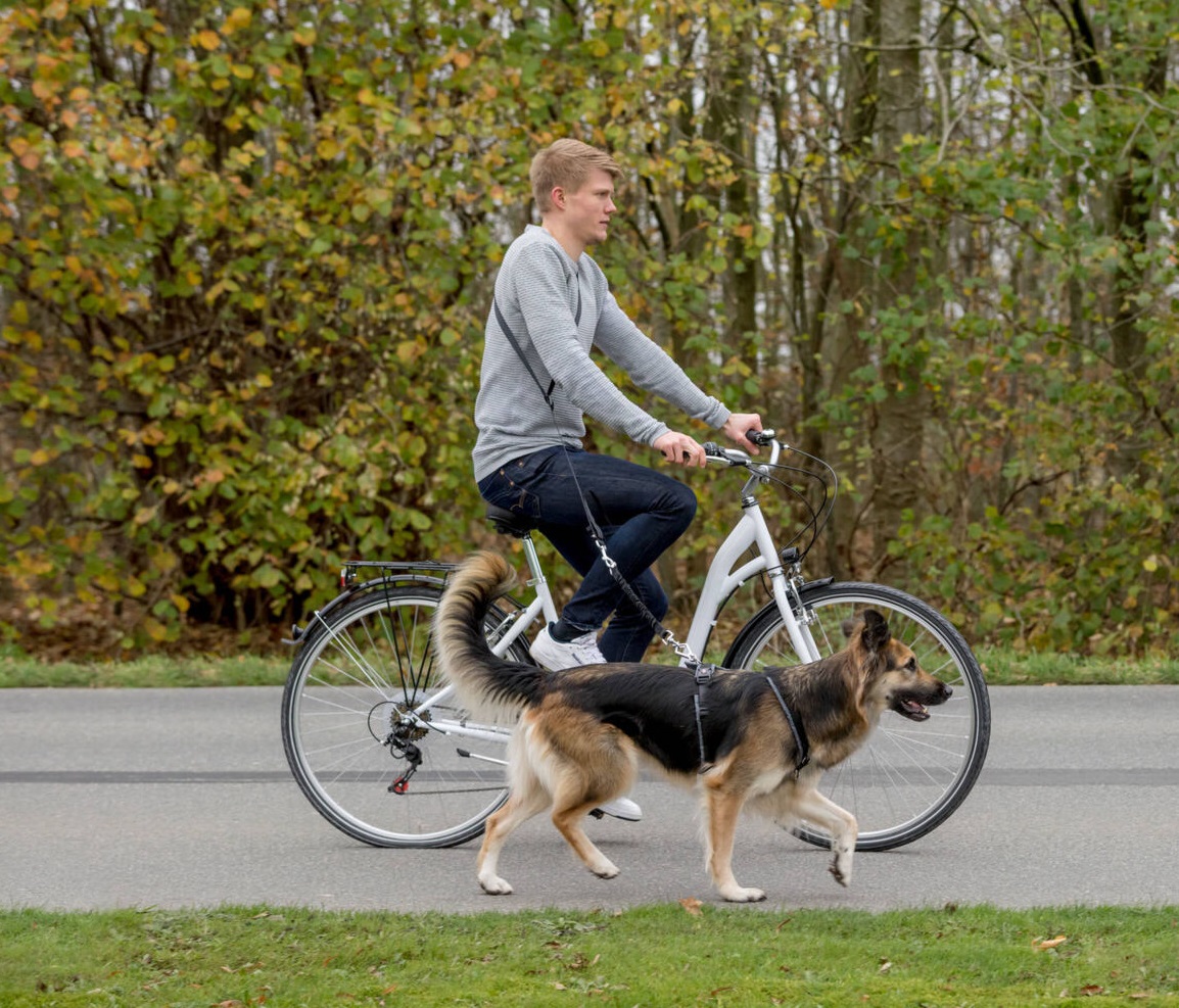 Vodítko na kolo a jogging Trixie