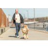 36208 ananas pro psy3