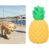36208 ananas pro psy obrázek