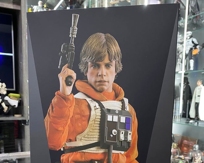 Luke Skywalker: Hot Toys (Snowspeeder Pilot)