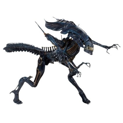 x neca51385