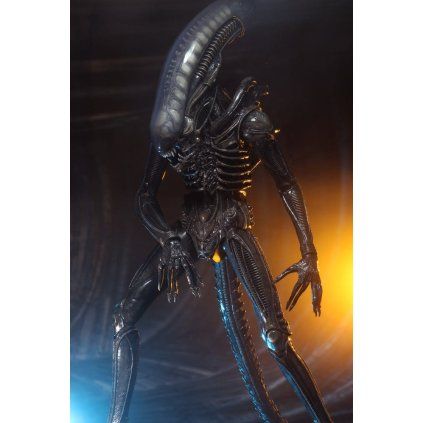 x neca51598 01 b