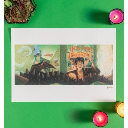 1456 fanattik harry potter art print goblet of fire cover artwork limited edition