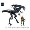 x neca51800 01 d