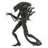 x neca51683 01 a
