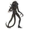 x neca51683 01 b