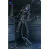 x neca51796 01 d