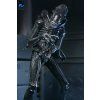 x neca51796 01 f