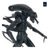 x neca51796 01 j