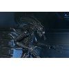 x neca51796 01 k