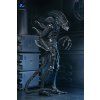 x neca51796 01 m