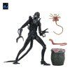 x neca51796 01 r