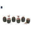 x neca51798 01 j