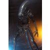 x neca51598 01 b