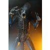 x neca51598 01 c