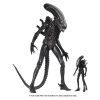 x neca51598 01 l