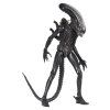 x neca51598 01 m