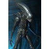 x neca51598 01 d