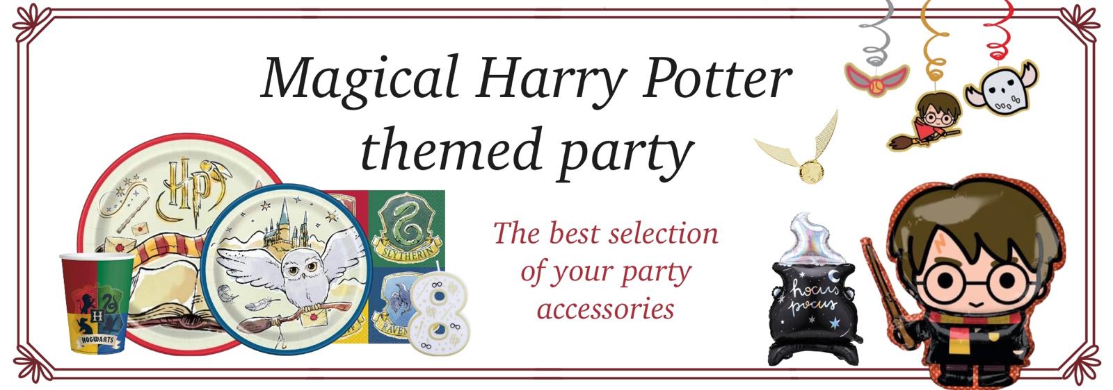 Party Harry Potter | Svetkouzel.com
