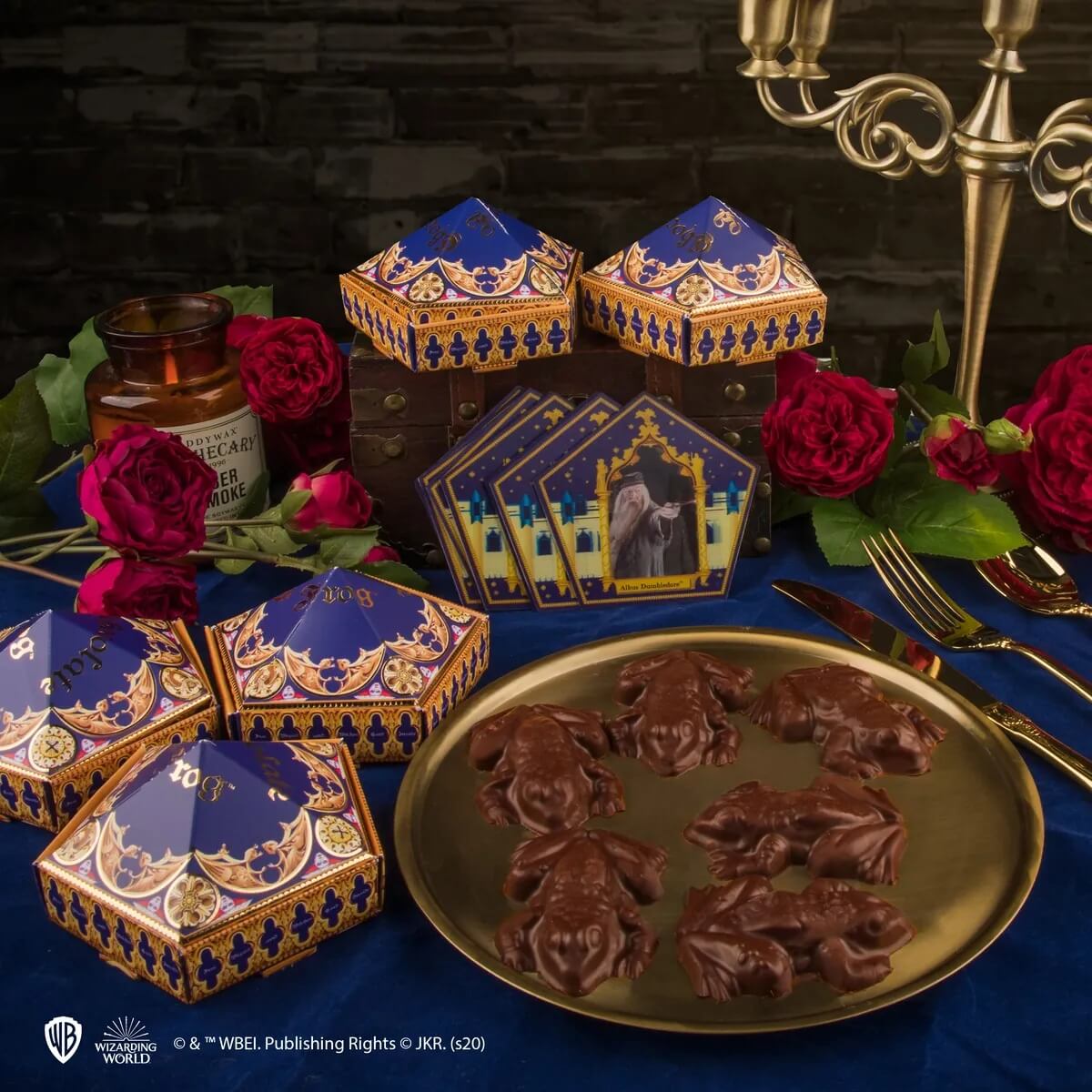 Harry Potter Moulds Chocolate Frog | Svetkouzel.com