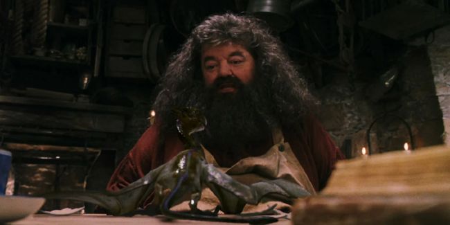 Hagrid s Norbertem