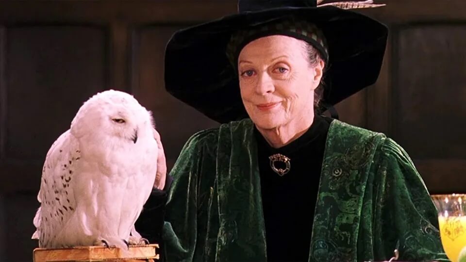Maggie Smith Harry Potter Svět kouzel
