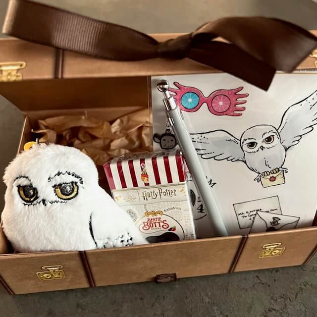 Harry Potter Gift Set – Hedwig Mini Edition Svět kouzel