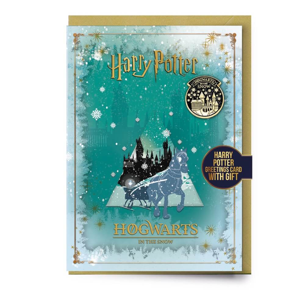 Harry Potter Pranicko Bradavice v Zime Svet kouzel