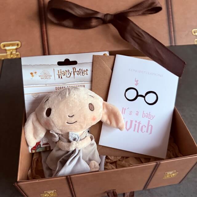 Harry Potter Dárková sada muchláček kouzelnice Svět kouzel