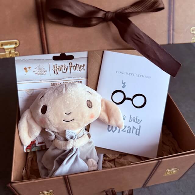 Harry Potter dárková sada muchláček - Narodil se kouzelník Svet kouzel