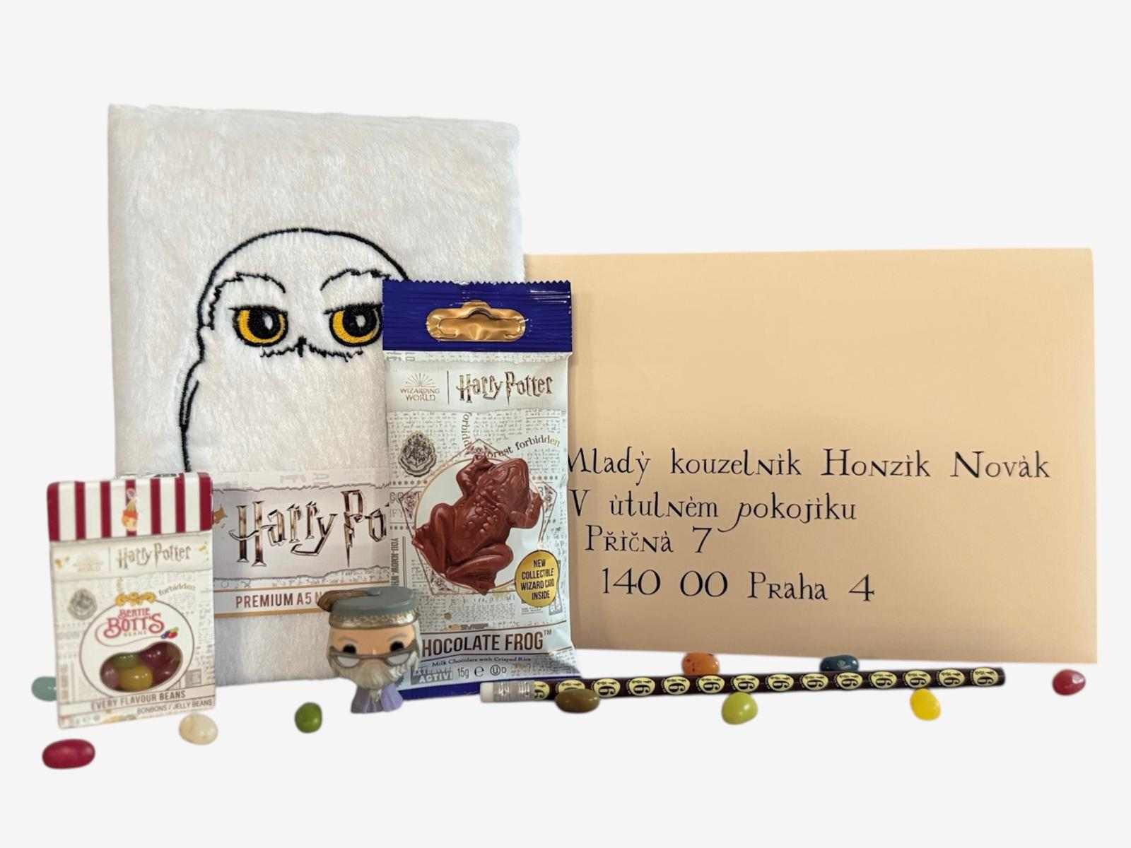 Harry Potter Back to Hogwarts Set - Hedwig