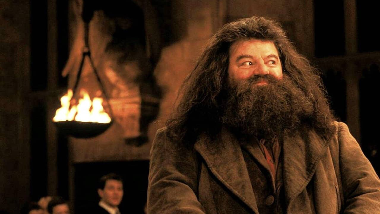 Harry Potter Rubeus hagrid