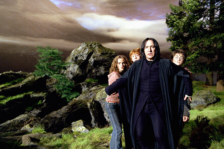 Severus Snape, Harry Potter, Ron Weasley a Hermiona Grangerová
