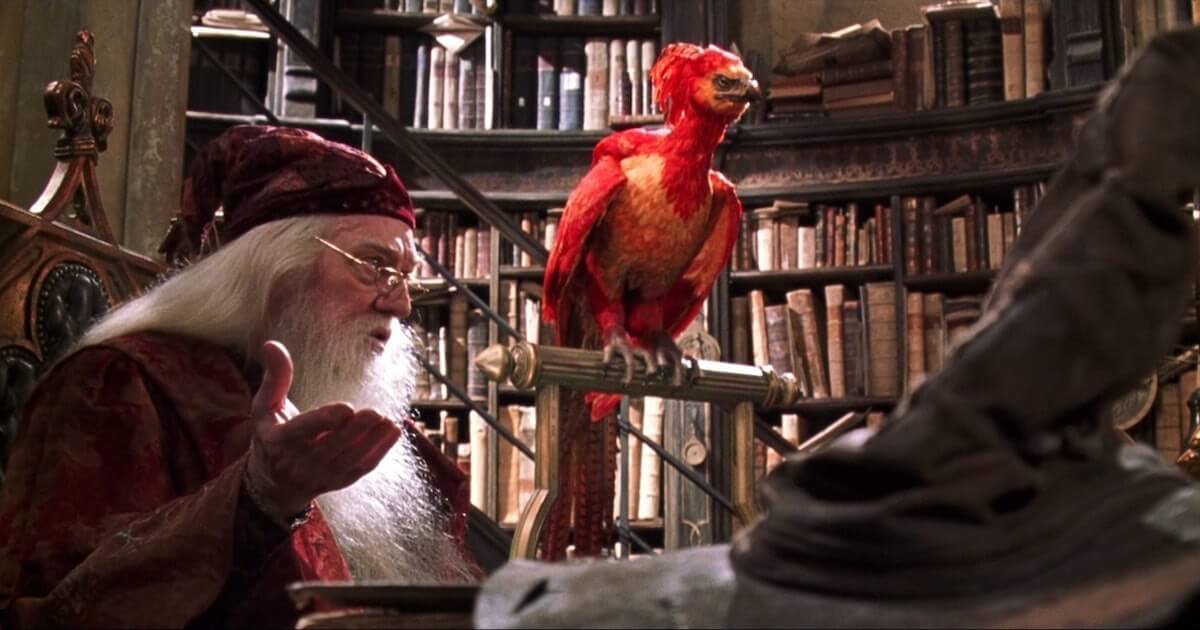 Harry Potter Fenix